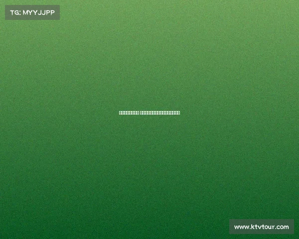 网球赛场激情四溢 精彩瞬间回顾与明星对决的完美呈现